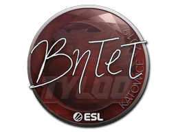 BnTeT | Катовице 2019 -  CS:GO/CS 2