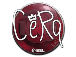 CeRq | Катовице 2019 -  CS:GO/CS 2