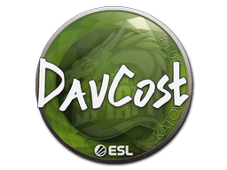 DavCost | Катовице 2019 -  CS:GO/CS 2