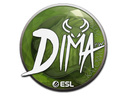 Dima | Катовице 2019 -  CS:GO/CS 2