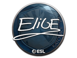 EliGE | Катовице 2019 -  CS:GO/CS 2