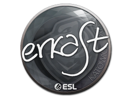 erkaSt | Катовице 2019 -  CS:GO/CS 2