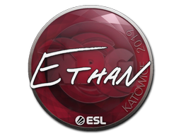 Ethan | Катовице 2019 -  CS:GO/CS 2