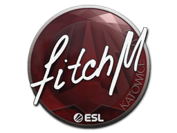 fitch | Катовице 2019 -  CS:GO/CS 2