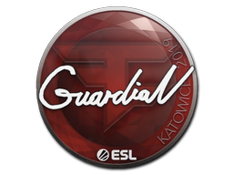 GuardiaN | Катовице 2019 -  CS:GO/CS 2