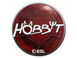 Hobbit | Катовице 2019 -  CS:GO/CS 2