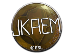 jkaem | Катовице 2019 -  CS:GO/CS 2