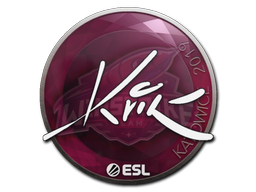 Kvik | Катовице 2019 -  CS:GO/CS 2