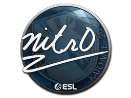 nitr0 | Катовице 2019 -  CS:GO/CS 2