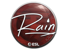 rain | Катовице 2019 -  CS:GO/CS 2