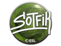 S0tF1k | Катовице 2019 -  CS:GO/CS 2