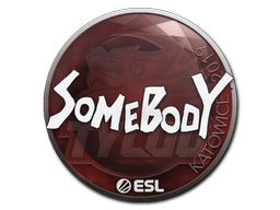 somebody | Катовице 2019 -  CS:GO/CS 2