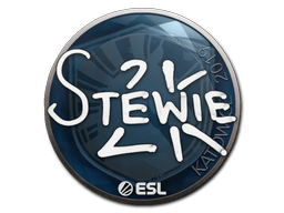 Stewie2K | Катовице 2019 -  CS:GO/CS 2