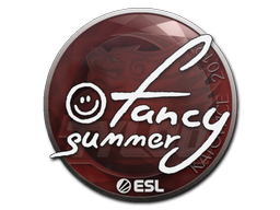 Summer | Катовице 2019 -  CS:GO/CS 2