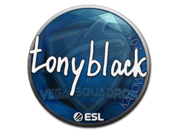 tonyblack | Катовице 2019 -  CS:GO/CS 2