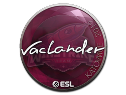 wayLander | Катовице 2019 -  CS:GO/CS 2