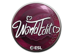 WorldEdit | Катовице 2019 -  CS:GO/CS 2