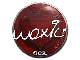 woxic | Катовице 2019 -  CS:GO/CS 2