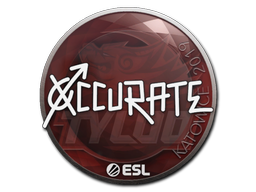 xccurate | Катовице 2019 -  CS:GO/CS 2