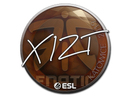 Xizt | Катовице 2019 -  CS:GO/CS 2