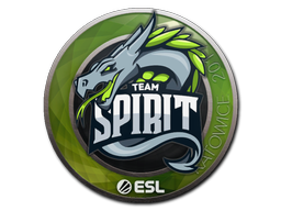 Team Spirit | Катовице 2019 -  CS:GO/CS 2