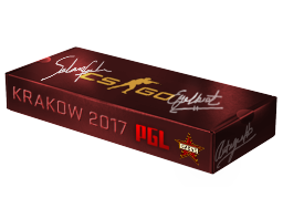 Сувенирный набор «PGL Krakow 2017 Cache»