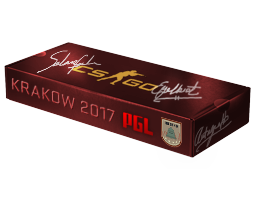 Сувенирный набор «PGL Krakow 2017 Inferno»