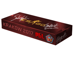 Сувенирный набор «PGL Krakow 2017 Mirage»