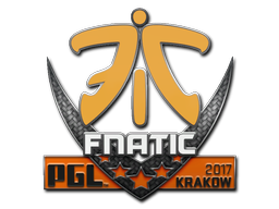 Fnatic | Краков 2017 -  CS:GO/CS 2