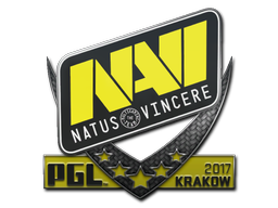 Natus Vincere | Краков 2017 -  CS:GO/CS 2