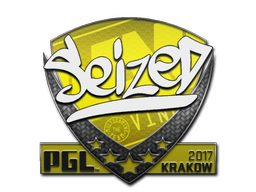 seized | Краков 2017 -  CS:GO/CS 2