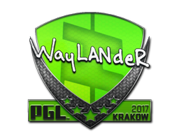 wayLander | Краков 2017 -  CS:GO/CS 2