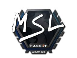 MSL | Лондон 2018 -  CS:GO/CS 2