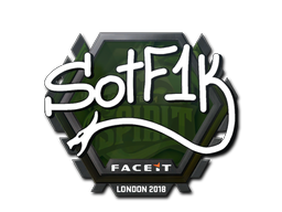 S0tF1k | Лондон 2018 -  CS:GO/CS 2