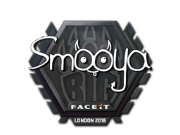 smooya | Лондон 2018 -  CS:GO/CS 2