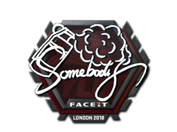 somebody | Лондон 2018 -  CS:GO/CS 2