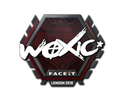 woxic | Лондон 2018 -  CS:GO/CS 2