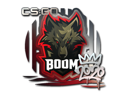 Boom | РМР 2020 -  CS:GO/CS 2