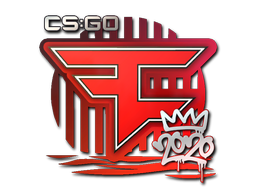 FaZe | РМР 2020 -  CS:GO/CS 2