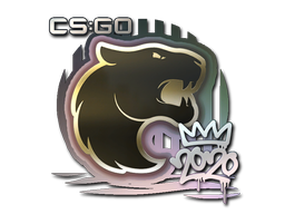 FURIA | РМР 2020 -  CS:GO/CS 2