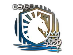 Liquid | РМР 2020 -  CS:GO/CS 2