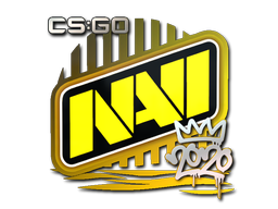 Natus Vincere | РМР 2020 -  CS:GO/CS 2