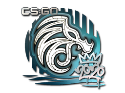 North | РМР 2020 -  CS:GO/CS 2