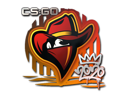 Renegades | РМР 2020 -  CS:GO/CS 2