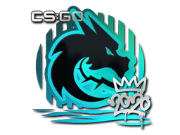 Spirit | РМР 2020 -  CS:GO/CS 2