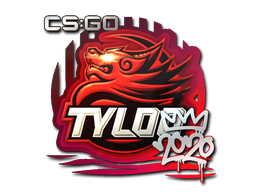 TYLOO | РМР 2020 -  CS:GO/CS 2