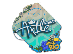 Ax1Le | Rio 2022