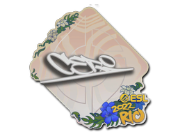 CeRq | Rio 2022 -  CS:GO/CS 2