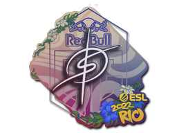 degster | Rio 2022 -  CS:GO/CS 2