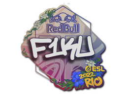 F1KU | Rio 2022 -  CS:GO/CS 2